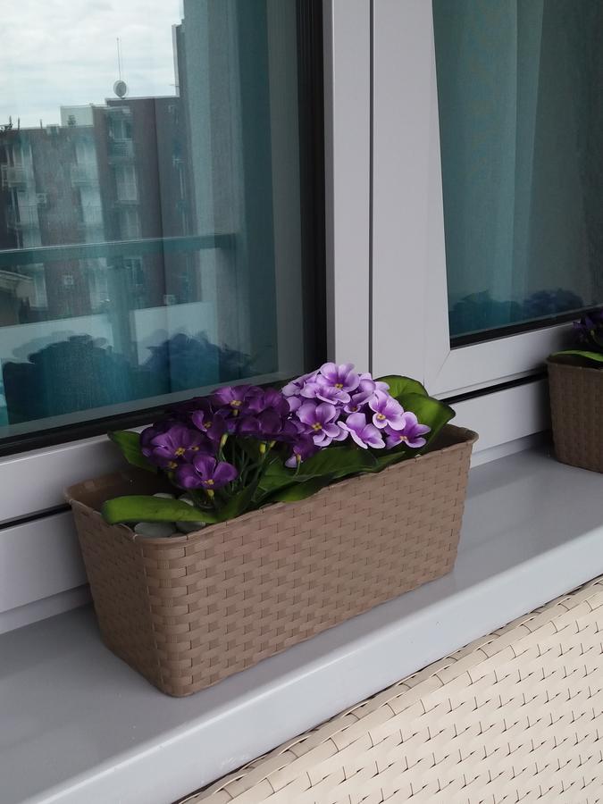 Apolonia Lux Apartment ブドヴァ エクステリア 写真